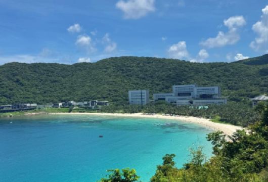 三亚包车日游：亚龙湾热带天堂森林公园 + 亚龙湾沙滩 【从热带雨林到蔚蓝大海，体验三亚多元自然景观】