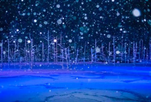 北海道点灯之旅&四季彩&圣诞树&精灵露台&瀑布青池/中文司导【[网红景点打卡]一天打卡多个网红景点】