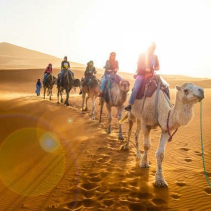 摩洛哥阿加迪尔撒哈拉沙漠一日游