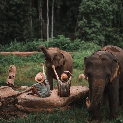 泰国清迈秘密大象营一日游