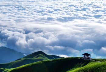 萍乡武功山风景区一日游【纯玩！导游全程服务专车接送4人成团】【十万亩高山草甸/山顶百人大混帐!!! 壮阔云海/迷幻佛光/恢弘壮丽的日出日落...更多惊喜等你来发掘】