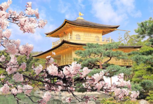 金阁寺+岚山+三十三间堂+大阪清水寺一日游【含餐】【金阁寺为金碧辉煌的世界遗产，以金箔覆盖的舍利殿，感受北山文化的魅力。】