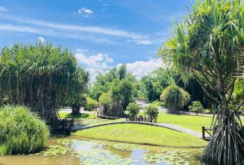 云南中科院西双版纳热带植物园+傣族园一日游-绿野仙踪泼水盛宴【浓缩了西双版纳热带风光、自然景观的精华，素有“植物的天堂”之美誉。】