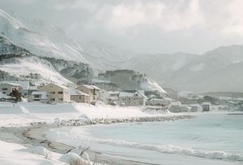 日本北海道-札幌往返-美瑛-富良野-旭川-红叶/冬季必打卡【专业行程定制，精选热门景点，高效游玩不走回头路，贴心服务保障，轻松】