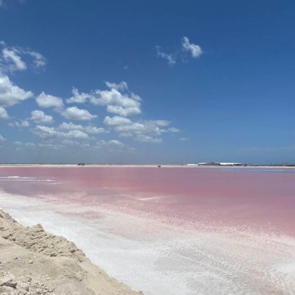 墨西哥 梅里达 粉红湖之旅（含午餐/跟团旅行/1人可定）