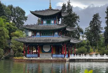 昆明老街+黑龙潭+云南野生动物园一日游中英文服务【老街茶香漫百年，黑龙潭畔赏唐梅，野生动物趣互动，春城多元体验一日尽揽。】