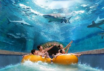 哈尔滨红专街早市+东北虎林园+波塞冬海洋王国包车一日游【专车接送/行程可定制】