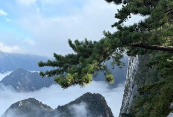 陕西华山一日游【15人小团/三环内区域接送/纯玩赠登山礼包】【[放心出游]西安三环内上门接，公司自有车辆，多年驾龄专业司机，让您无忧出行！】