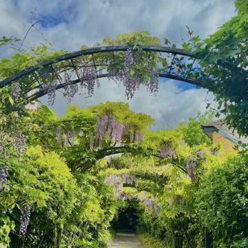 英国伦敦周边小众/童话小镇科兹沃尔德小镇【私人专享全境定制】