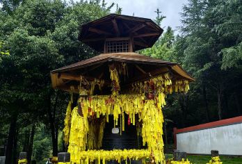 湖北神农架神农顶风景区+神农顶大九湖包车一日游可英文服务【可提供英文及小语种导游服务-往返接送-可选导游-可代订门票】