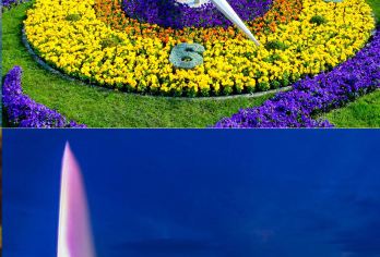 日内瓦湖-阿丽亚娜博物馆-百达翡丽博物馆-花钟-大喷泉一日游【[中文司导·一家人一团包车·推荐网红餐厅·深度游玩目的地]】