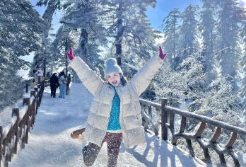 瓦屋山风景区一日游【纯玩无购物丨观雾凇•赏雪景戏雪】【[100%真纯玩]本线路为纯玩团，不去购物店，放心选择，安心出游！】