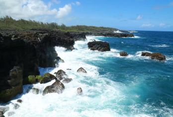 毛里求斯追海豚+天涯海角+大浪湾+自然桥+蓝湾玻璃船一日游【经典行程，毛里求斯游玩必打卡网红景点】