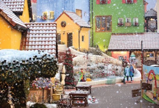 韩国首尔南怡岛+小法国村+晨静园艺树木园+江村自行车一日游【南怡岛四季风光｜四季皆具自然美景，林荫大道与湖岸风光宜人，《冬季恋歌》拍摄地，情侣与家庭旅游热门地。】