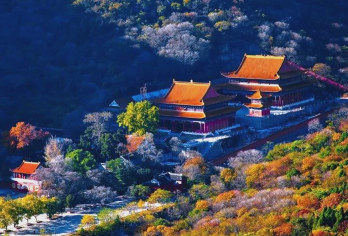 淮北包车地陪导游翻译地接陪同接送旅游展会商务考察陪诊【淮北包车地陪导游翻译地接陪同接送旅游展会商务考察陪诊】