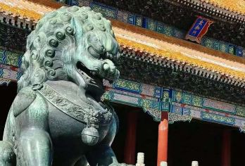 故宫博物院精讲-【成人/研学单飞/15/45人/上下午可选】【研学单飞/只收儿童/提前一天可定/20人团/7儿童1老师/】