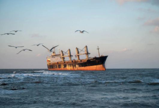 单人68大巴团网红线【大小同价】【品质出游】