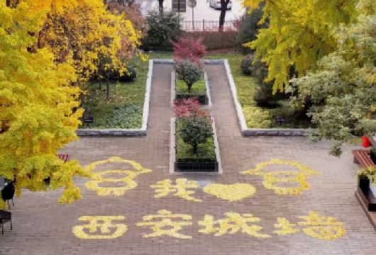 西安秦始皇帝陵博物院·兵马俑一日游【精品私家团·含门票】【全程省心，把力气留给看风景】