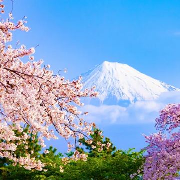 日本东京箱根河口湖缆车一日游【纯玩团｜网红打卡｜中英司导】