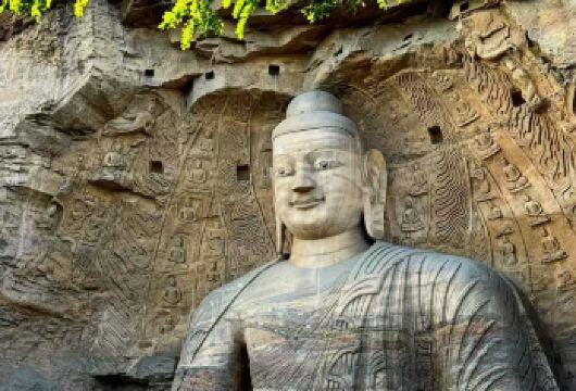 大同云冈石窟半日游【明星讲师专职讲解3H·多场次拼团/包团】【[金牌讲解]资深导游全程深度解读，解锁云冈石窟千年历史与艺术密码】