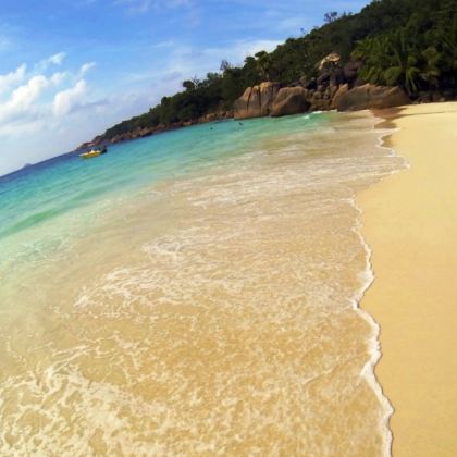 ‌塞舌尔普拉兰岛包车游--圣安妮海洋公园+“活化石森林”徒步