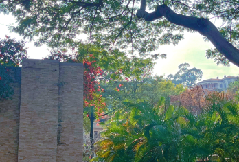 厦门鼓浪屿一日游【定制线路|含往返船票+单独导游+专车接送】【线路自定义，想去哪玩就去哪玩；7座商务车专车接送，单独配备导游全程讲解；详情咨询客服。】