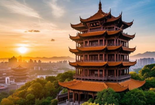 黄鹤楼+古德寺+黎黄陂路+昙华林+武汉长江大桥@私家团上门接【[品质保障]小众线路丨独立包车丨车型可选丨优选行程丨管家服务丨上门接送】