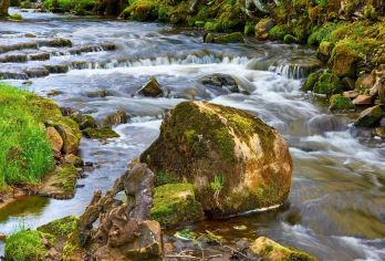 广州白水寨+ 石门国家森林公园【广州市郊区生态游】
