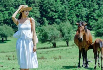 武隆天生三桥+仙女山+乌江画廊一日游【2-8人小团】【[优先品质]市区五大商圈多站接驳丨纯玩无购物丨无隐形消费丨旅游意外险】