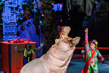 【广州亲子游】广东科学中心+长隆飞鸟乐园+长隆国际大马戏【全天包车8H服务，行程自由可调整】