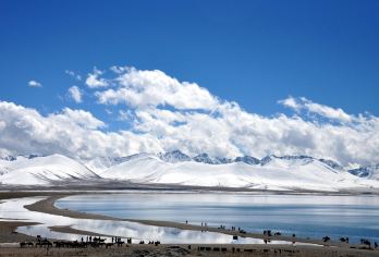 寺院静心修行之旅-色拉寺 +哲蚌寺 +乃琼寺【中文司机，需要向导可咨询】