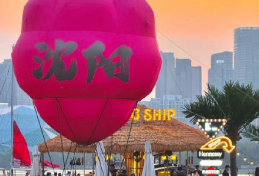 沈阳一日游【包车游】可制定行程•故宫 张学良旧居 辽博 西塔【一家一车一团，可制定行程，一日游，两日游均可】