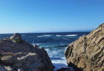 美国旧金山+加州一号公路全段包车一日游/行程可调-可定制【专属客服和本地中文司机，一家一团包车】