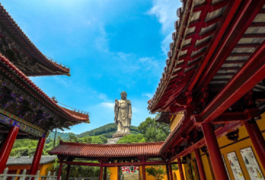 无锡灵山大佛+鼋头渚一日游【观红嘴鸥&纯玩含门票&赠冰箱贴】【[亮点1]冬日限定观红嘴鸥，精典双5A，一票畅玩纯玩良心做产品，不玩套路、不打插边球、不倒团不卖团！】
