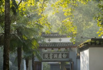 秀峰+东林大佛+白鹿洞书院+落星墩【南昌市起止/包车+门票】【品质出游】