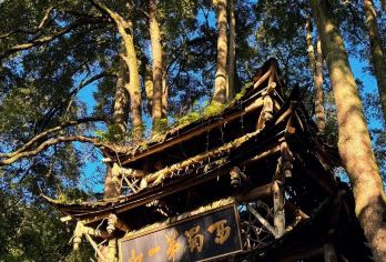 熊猫基地+青城山一日游2-8人纯玩团/含门票/三环接送看花花【优势亮点：私家团、ViP 包车一单一团含景区门票，不拼车，专车专用，属于您的专属空间，旅游管家式服务】