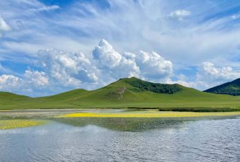 河北承德：木兰围场（塞罕坝机械林场）【包车｜中英文导游】C【[VIP尊享服务] 专属包车出行，司机全程陪同，行程灵活可调，打造个性化旅程】