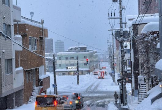日本北海道小樽一日游｜天狗山｜札幌往返｜寻找《情书》中的美景【尊享一对一高端行程定制，多日豪华包车专属礼遇，专业旅行顾问24小时恭候垂询。】