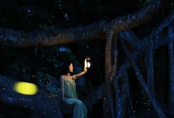 中科植物园深度一日游+夜游【可含晚餐·导游讲解·夜探植物园】【日览植物奇观 + 夜游神秘生态，含专业导游讲解与晚餐，一日解锁植物园双重体验，省心又丰富。】