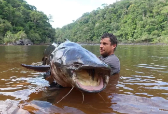 胡志明出发巨型怪兽钓鱼私人一日游【体验越南渔民的捕鱼方式，感受与巨型怪兽鱼搏斗的刺激】