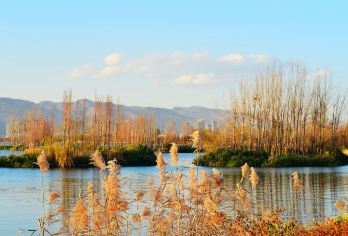 非遗手作与古镇生活-周城扎染 + 喜洲古镇+ 洱海生态廊道骑【中文司机】