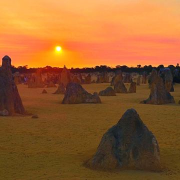 西澳珀斯滑沙尖峰石阵中文/英文一日游【珀斯市区出发】