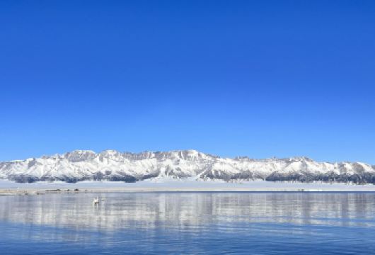 赛里木湖一日游【[成团保证] 2 人起订，4-6 人精品小团】