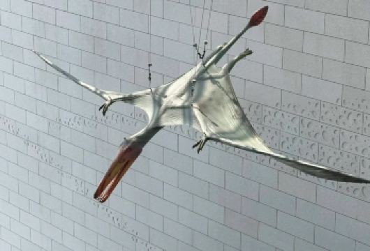 自然博物馆门票+讲解【1.5小时私享包团人工深度讲解】【带您览成都自然博物馆，探索地质环境，了解生命起源 无购物 无自费】