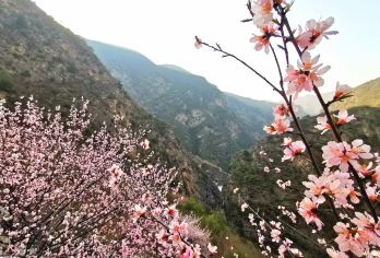 咸阳郑国渠旅游风景区一日游【拜水都江堰-秋游郑国渠】【郑国渠景区是世界灌溉工程遗产 郑国湖 一川碧水之灵秀 幽谷深峡之奇观】