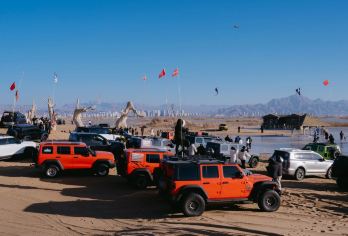 乌海一日游【含乌海湖越野车进沙门票 乌海湖拉僧庙远观甘德尔】【[靠谱商家]市场第一家乌海线路，越野车直达枯树不用坐船，为您规划出方便又具性价比的游玩方式。】