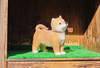 日本福冈往返由布院景点/可熊本别府大分九州多日绿牌包车-精选【精选热门景点，高效游玩不走回头路，深度了解文化内涵，贴心服务保障，轻松享受旅程，性价比超高的旅行。】