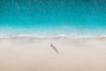 阿布扎比清真寺+法拉利博物馆+亚斯岛+海洋馆+海滨大道一日游【轻松无负担：往返交通省心，景点间衔接顺畅】