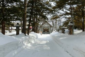 日本北海道+小樽天狗山一日游/行程可调-可定制【专属客服和本地中文司机，一家一团包车】