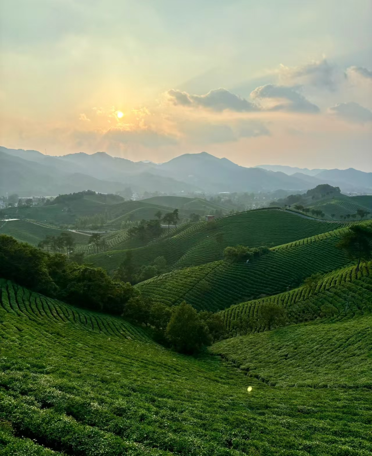 信阳市区往返包车｜南湾湖风景区-文新茶村一日游（多车型可选）